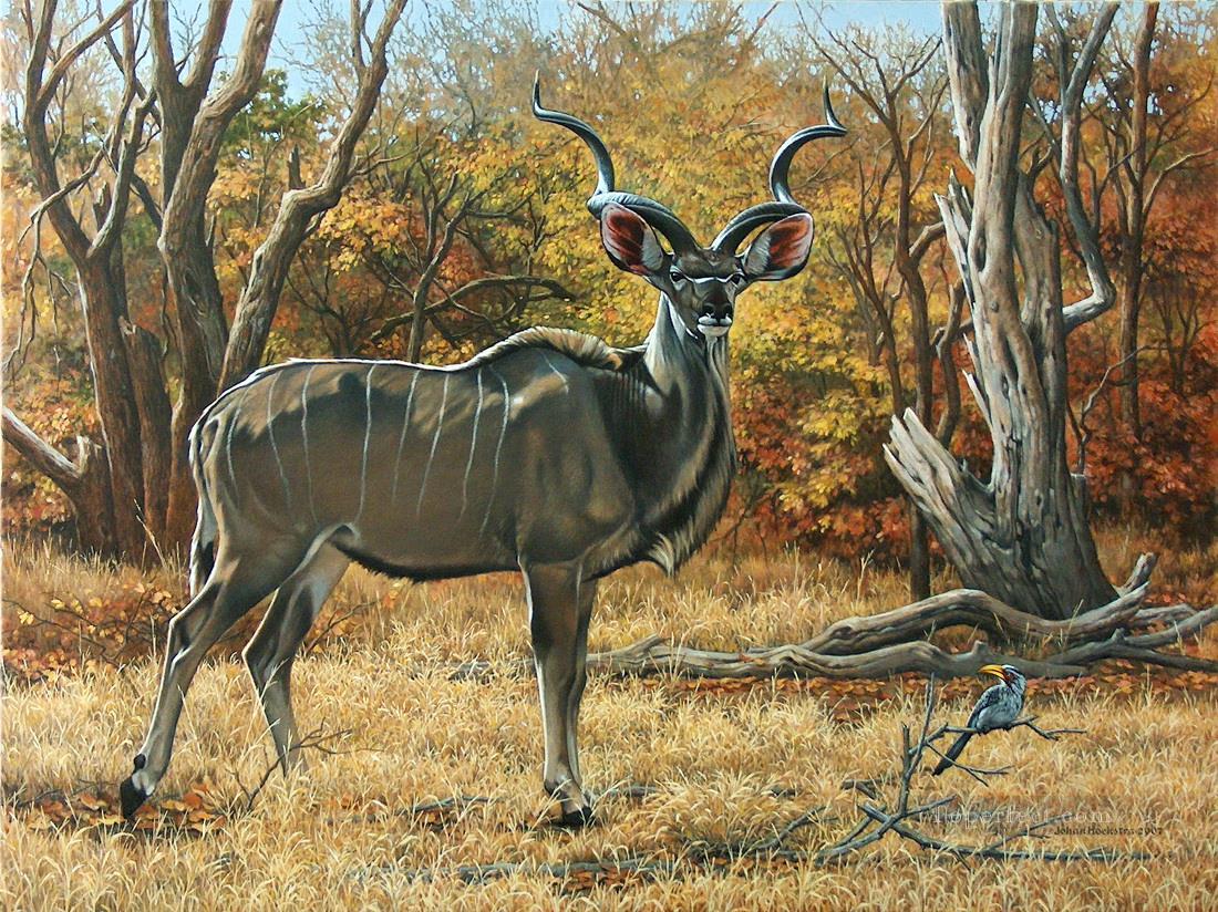 deer kudu bull Oil Paintings